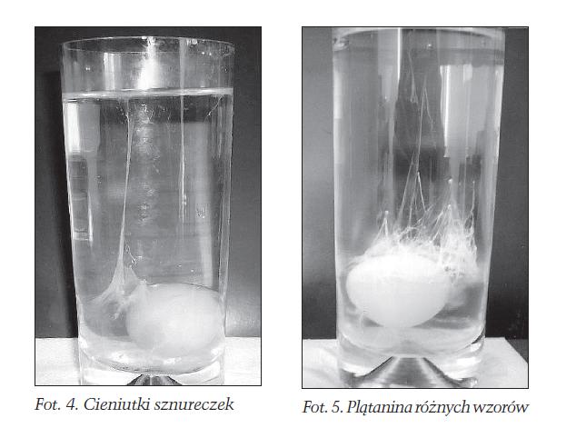 oczyszczanie jajem - interpretacja wyników