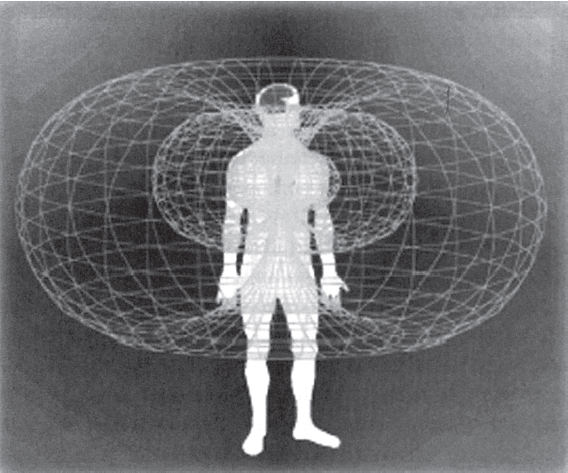 Kształt i względny rozmiar pola serca, BOSKA MATRYCA, Gregg Braden