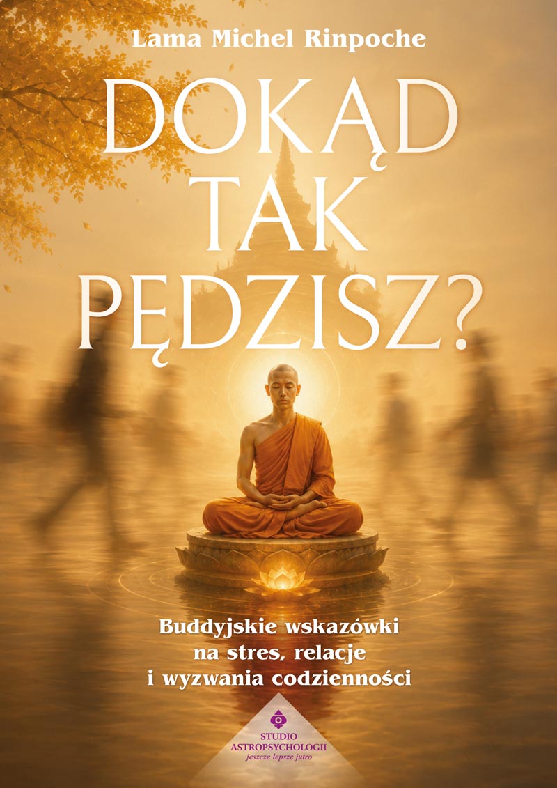 Okładka książki pt. Dokąd tak pędzisz? Buddyjskie wskazówki na stres, relacje i wyzwania codzienności - Lama Michel Rinpoche